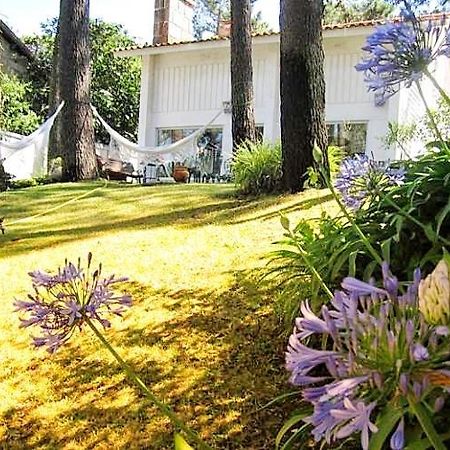 Cabedelo Beach House เวียนา โด กัสเตโล ภายนอก รูปภาพ